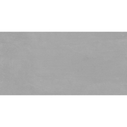LEMA SILVER  MAT 60X120...