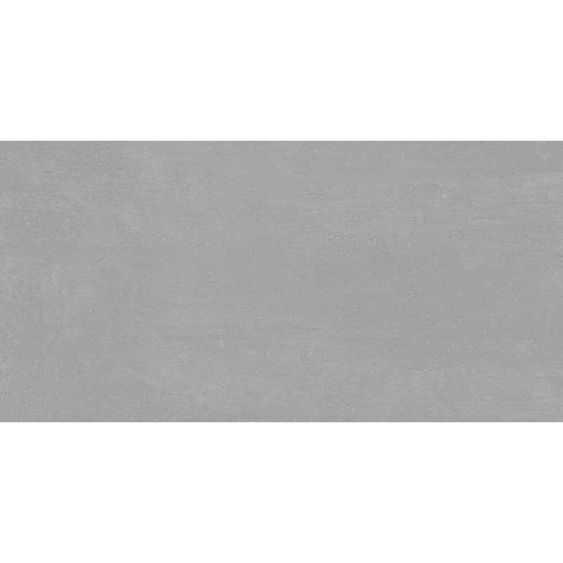 LEMA SILVER  MAT 60X120 REKT. (P.69359)