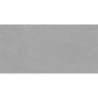 LEMA SILVER  MAT 60X120 REKT. (P.69359)