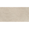 FIDENZA TAN MAT 60X120 REKT. (P.69371)