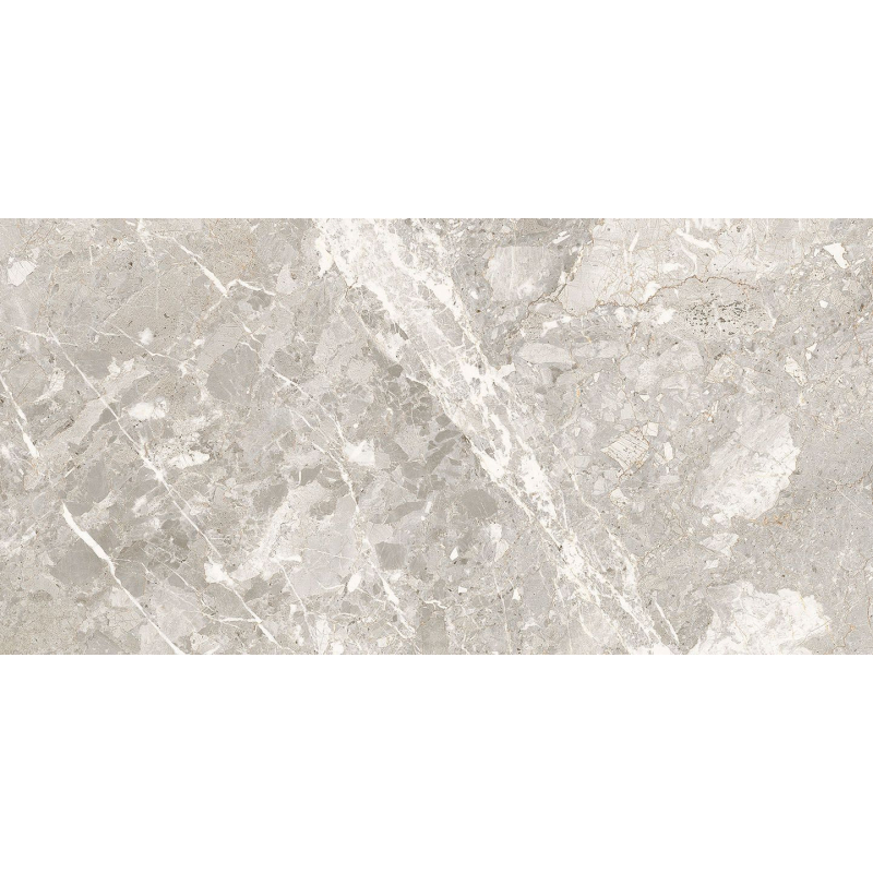 BELCASTEL SILVER MAT 60X120 REKT. (P.69393)
