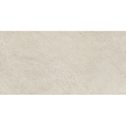FIDENZA SILVER MAT 60X120...