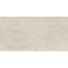 FIDENZA SILVER LAPPATO 60X120 REKT. (P.69423)