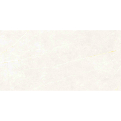 ELITE WHITE MAT 60X120...