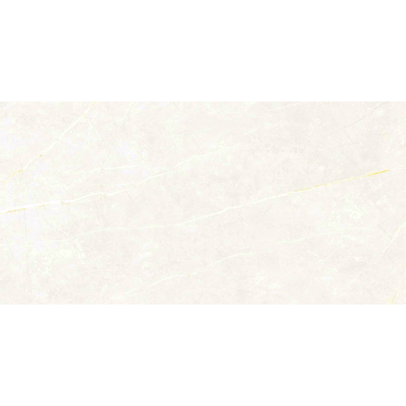 ELITE WHITE MAT 60X120 REKT. (P.69463)