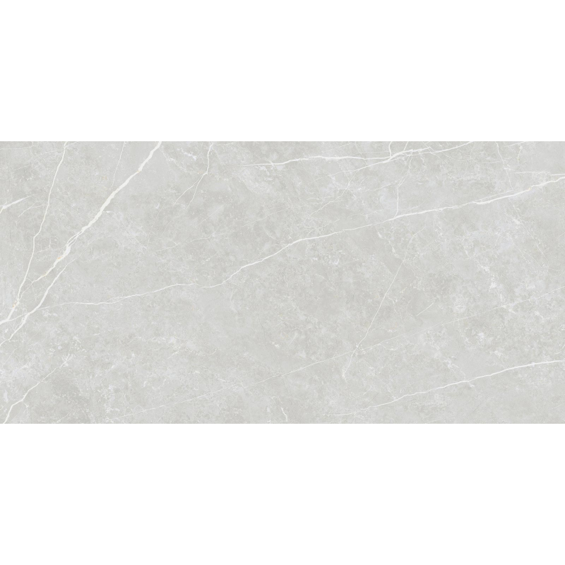 ELITE SILVER MAT 60X120 REKT. (P.69467)
