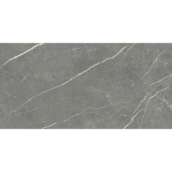 ELITE GRAPHITE MAT 60X120...