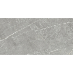 ELITE GRAY MAT 60X120 REKT....