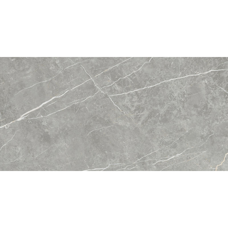 ELITE GRAY MAT 60X120 REKT. (P.69471)