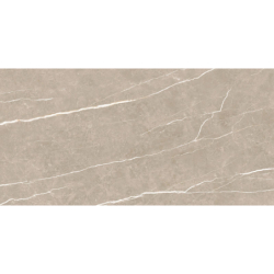 ELITE GREIGE MAT 60X120...