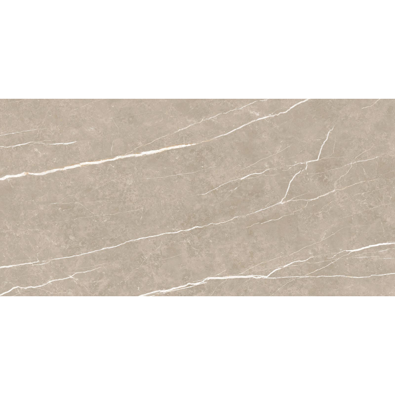 ELITE GREIGE MAT 60X120 REKT. (P.69473)