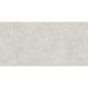 ROADSTONE PEARL MAT 60X120 REKT. (P.69517)