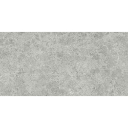 ROADSTONE SILVER MAT 60X120...