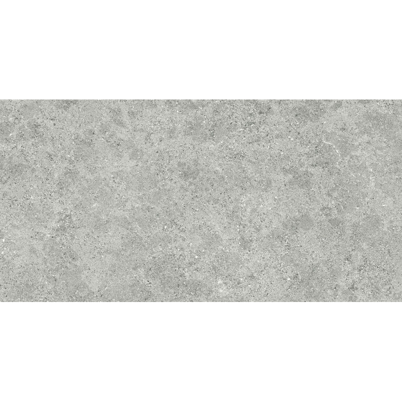 ROADSTONE SILVER MAT 60X120 REKT. (P.69519)