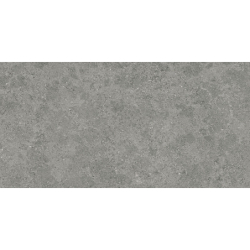 ROADSTONE GRAY MAT 60X120...