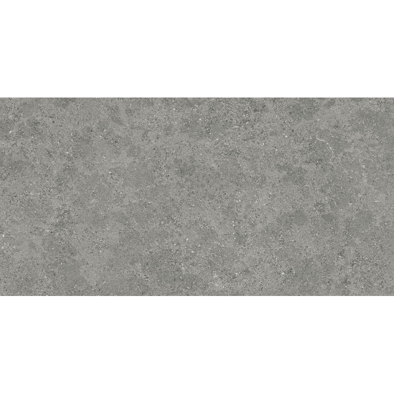 ROADSTONE GRAY MAT 60X120 REKT. (P.69525)