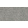 ROADSTONE GRAY MAT 60X120 REKT. (P.69525)