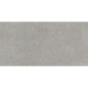 CEPPO DI GRE SILVER MAT 60X120 REKT. (P.69539)