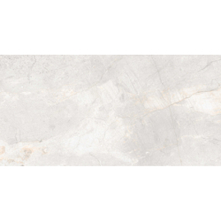 MAINSTONE SILVER MAT 60X120...