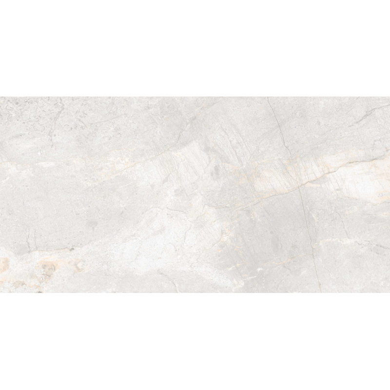 MAINSTONE SILVER MAT 60X120 REKT. (P.69545)