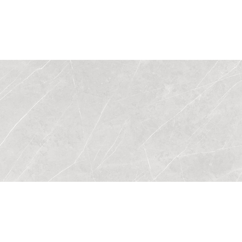 ALTAMURA PEARL MAT 60X120 REKT. (P.69559)