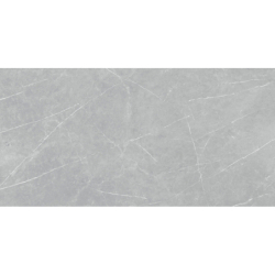 ALTAMURA SILVER MAT 60X120...