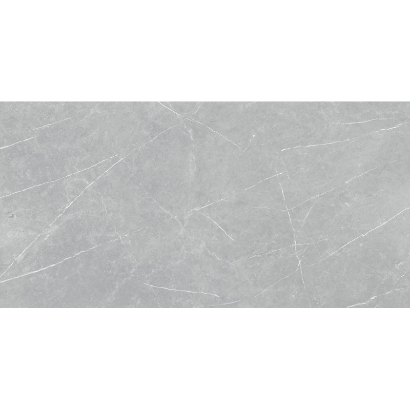 ALTAMURA SILVER MAT 60X120 REKT. (P.69561)