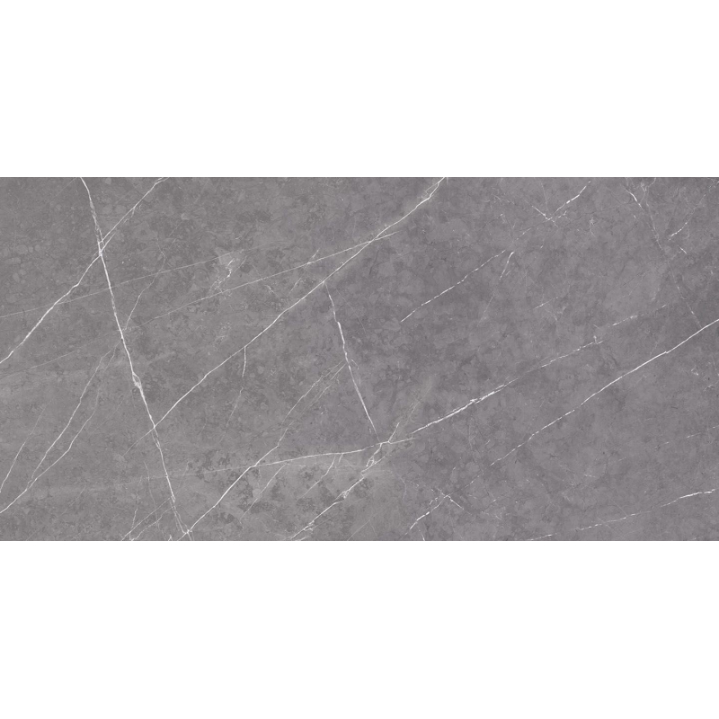 ALTAMURA GRAY MAT 60X120 REKT. (P.69563)