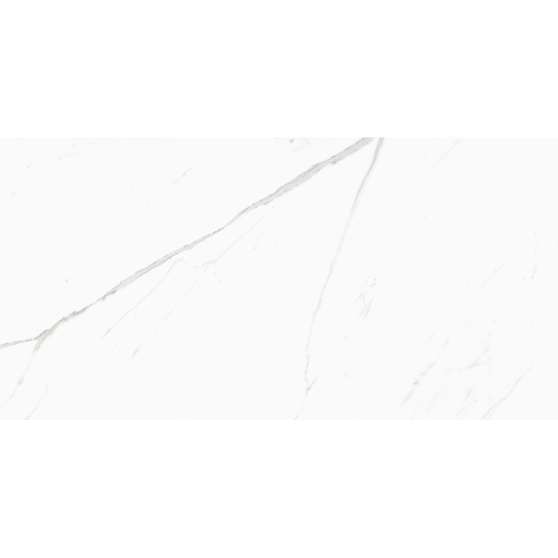 BARANELLO WHITE MAT 60X120 REKT. (P.69565)
