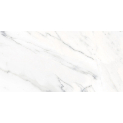 VARENNA CARRARA MAT 60X120...