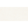 TEIDE WHITE MAT 60X120 REKT. (P.69647)
