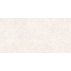 STALE WHITE MAT 60X120...