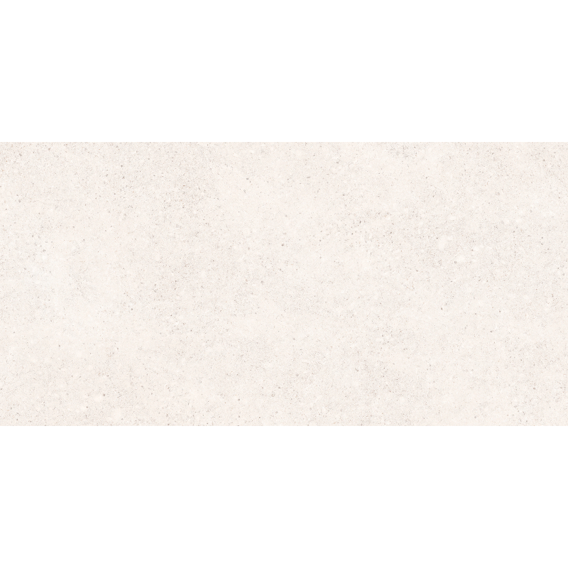 STALE WHITE MAT 60X120 REKT. (P.69657)