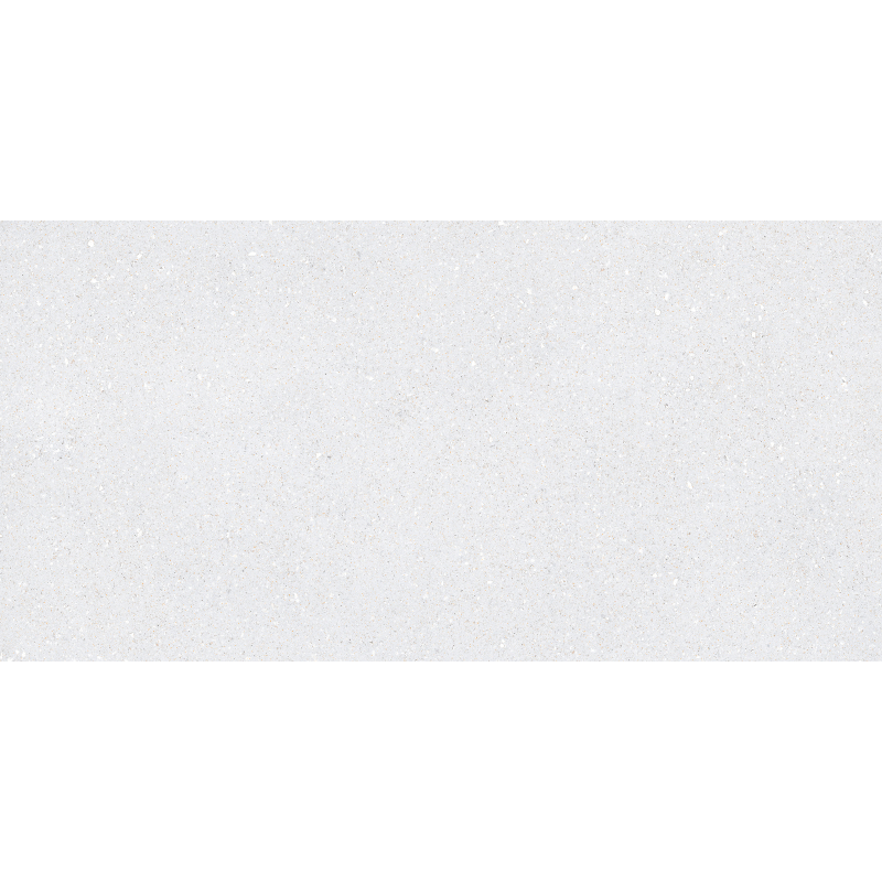 SASSY WHITE MAT 60X120 REKT. (P.69673)
