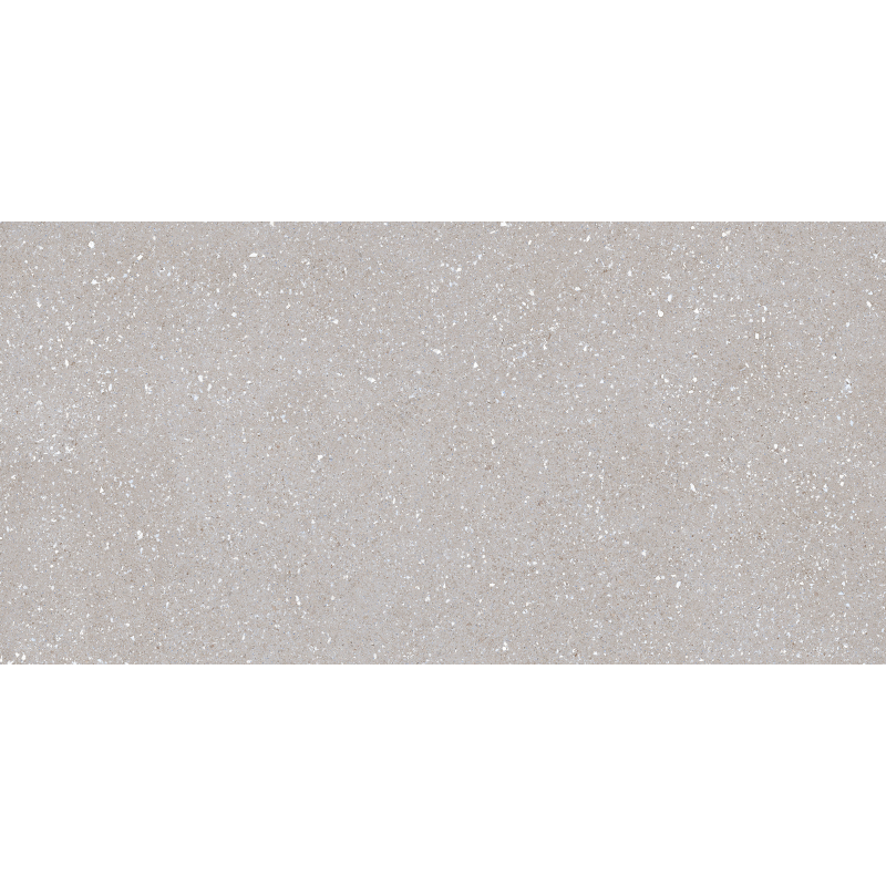 SASSY SILVER MAT 60X120 REKT. (P.69677)