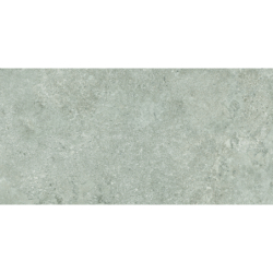 ORION GREY MAT 60X120 REKT. GAT.1 (P.69747)