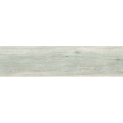 MARYLAND GRIS MAT 29,5X120...