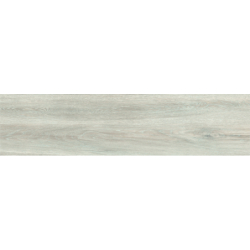 MARYLAND GRIS MAT 29,5X120 REKT. GAT.1 (P.69841)