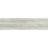 MARYLAND GRIS MAT 29,5X120 REKT. GAT.1 (P.69841)