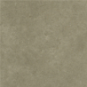 ICON TAUPE MAT 60X60 REKT. GAT.1 (P.69887)