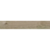 SEQUOYA OAK MAT 20X120 REKT. GAT.1 (P.69963)