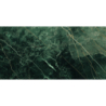 WACOM MOSS POLER 60X120 REKT. GAT.1 (P.70065)
