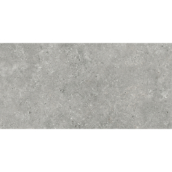 STONELAND GREY MAT 60X120...
