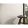 BELSTONE GREY MAT 60X60 REKT. GAT.1 (P.70247)
