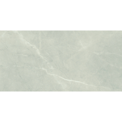 BAYONA SILVER POLER 60X120 REKT. GAT.1 (P.70281)