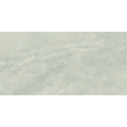 BAYONA SILVER POLER 60X120 REKT. GAT.1 (P.70281)