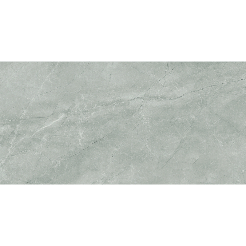 BAYONA SILVER NATURAL MAT 60X120 REKT. GAT.1 (P.70287)