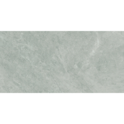 BAYONA SILVER NATURAL MAT 60X120 REKT. GAT.1 (P.70287)
