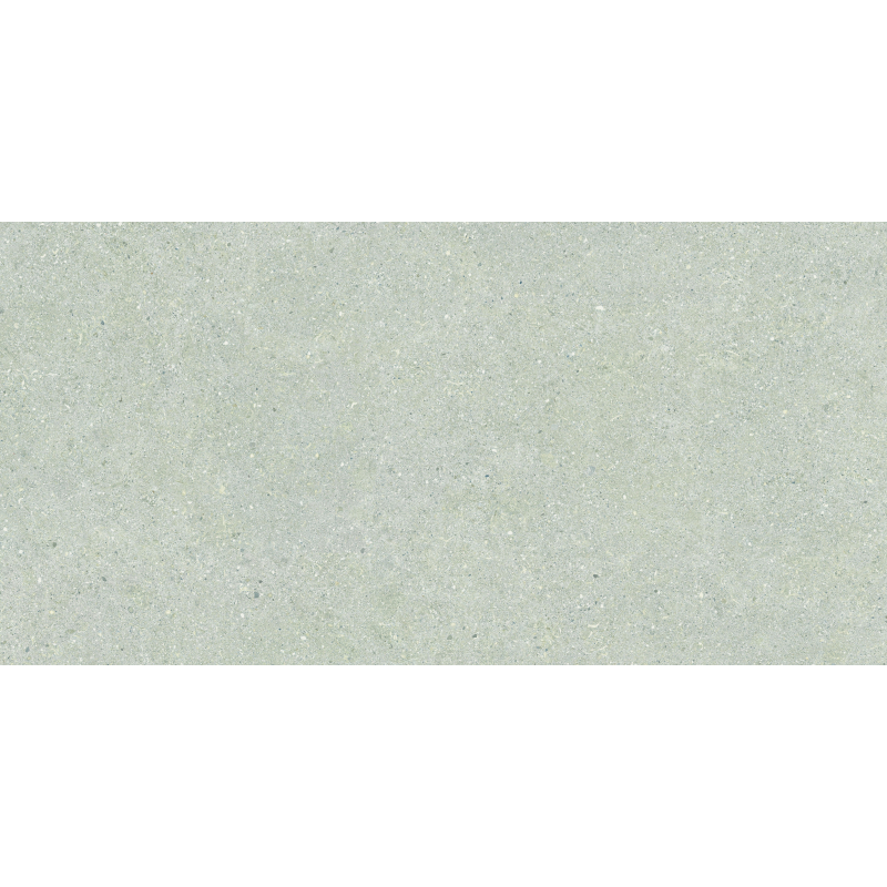 BRUNSWICH CENIZA MAT 60X120 REKT. GAT.1 (P.70339)