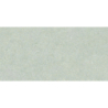 BRUNSWICH CENIZA MAT 60X120 REKT. GAT.1 (P.70339)